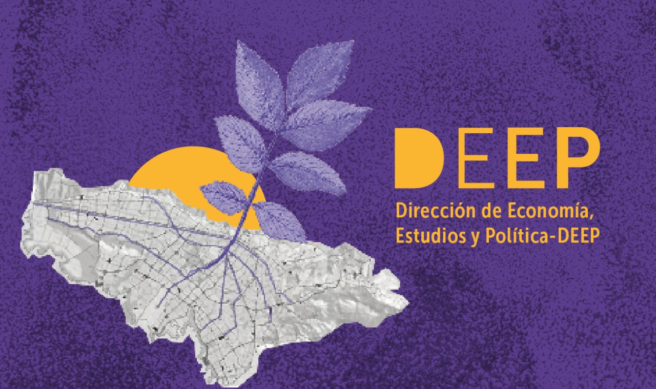 Diseño de mapa de Bogotá con texto Dirección de economía, estudios y política
