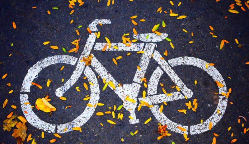 Señal de bicicleta sobre el asfalto. Sobre ella hay varios pétalos color amarillo. 