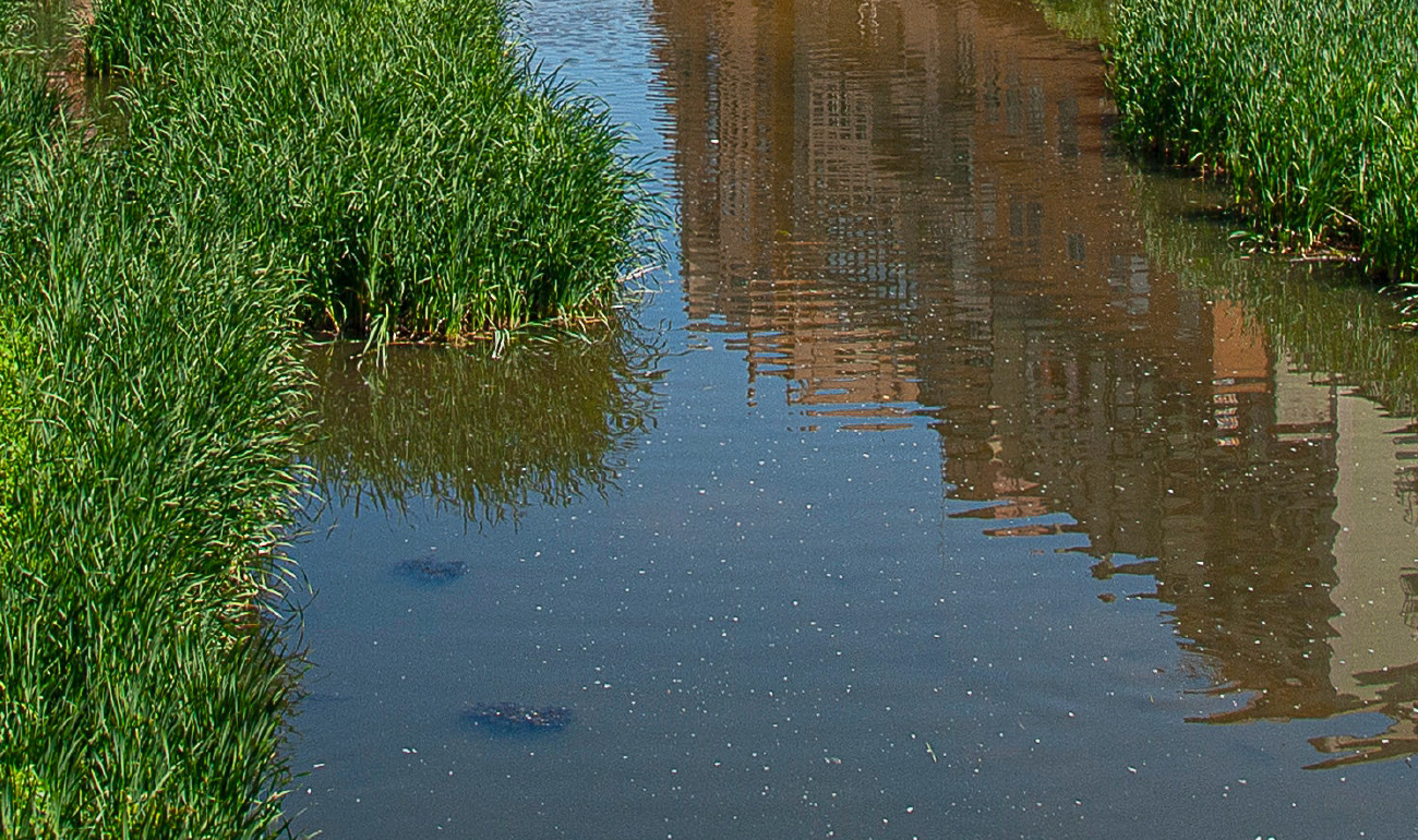 Fotografía de una canal de agua en el que se refleja la parte de una edificación y sobre el cual se evidencia pasto