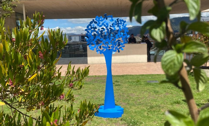 Urapan Fraxinus: una obra de Patricia Corredor