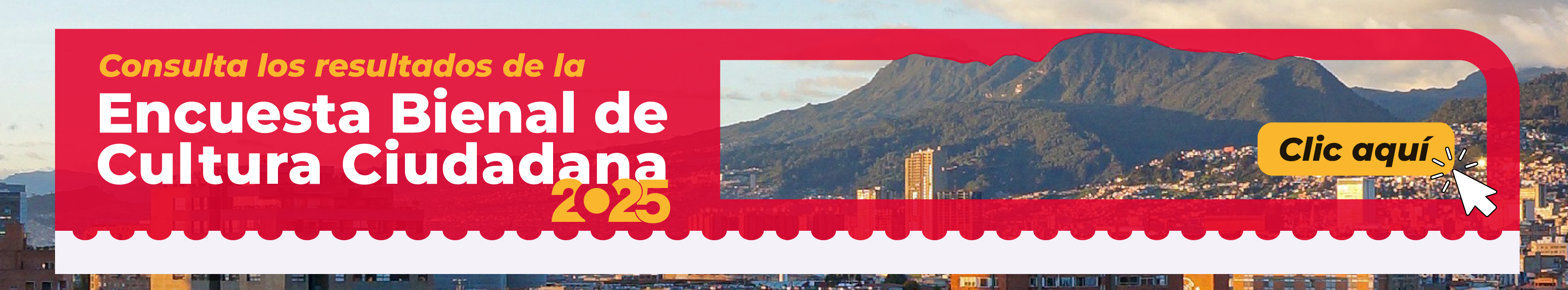 Encuesta Bienal