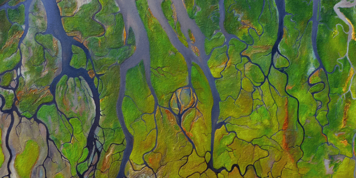 Fotografía de un fragmento de tierra con ríos