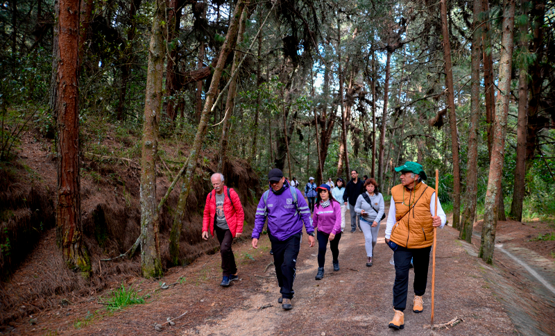 Caminata ecologica