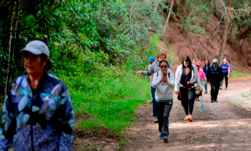 Caminata - Mirador el Peñon        
