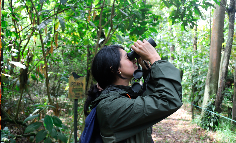 Mujer mirando por binoculares en un parque ecológico