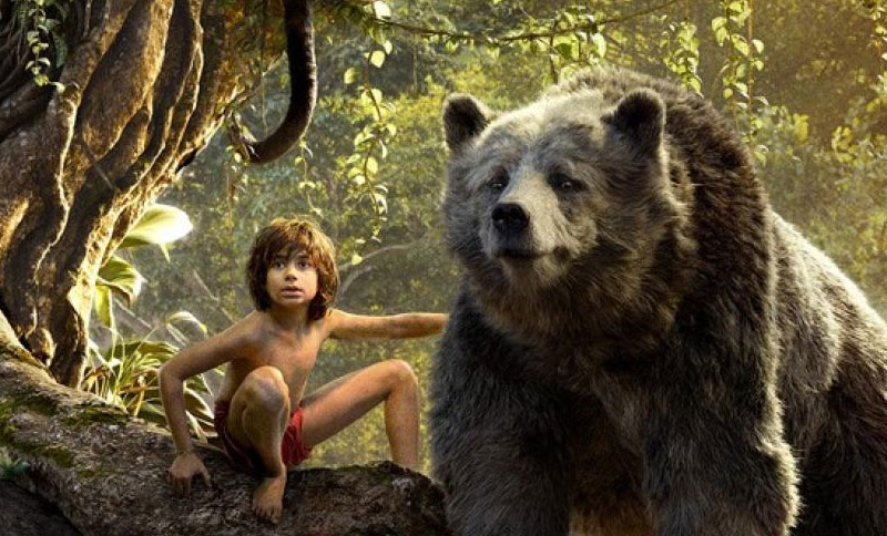 Niño y oso en la selva