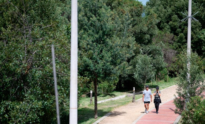 Corredor Ambiental río Salitre