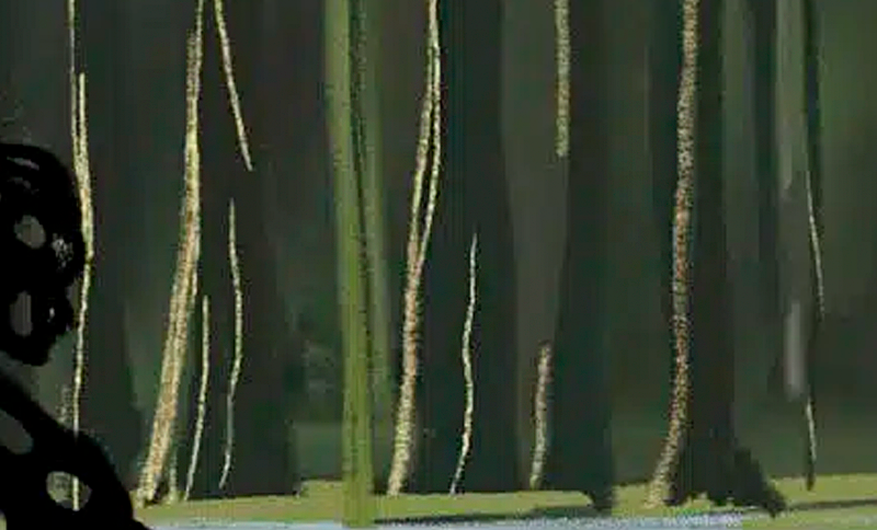 Ecos de la Selva 