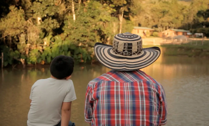 Cine: El árbol de Matías