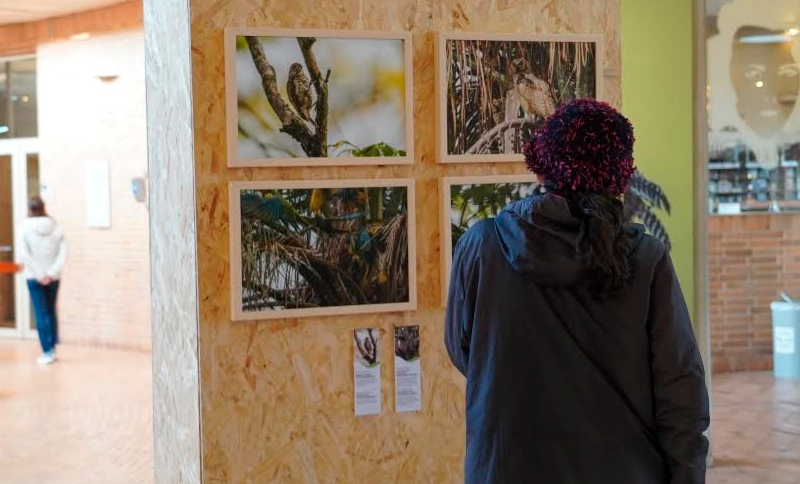 Exposición fotográfica "Orinoquía, legado llanero"