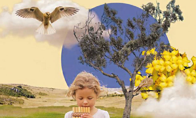 Collage de una nube, un águila, un árbol, una niña y flores