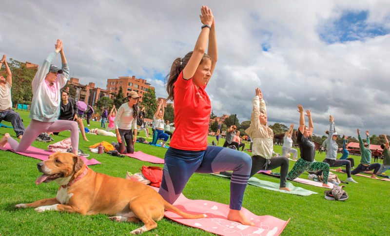 Bogotá vibra en bienestar con la tercera edición del Festival Calma en la Ciudad