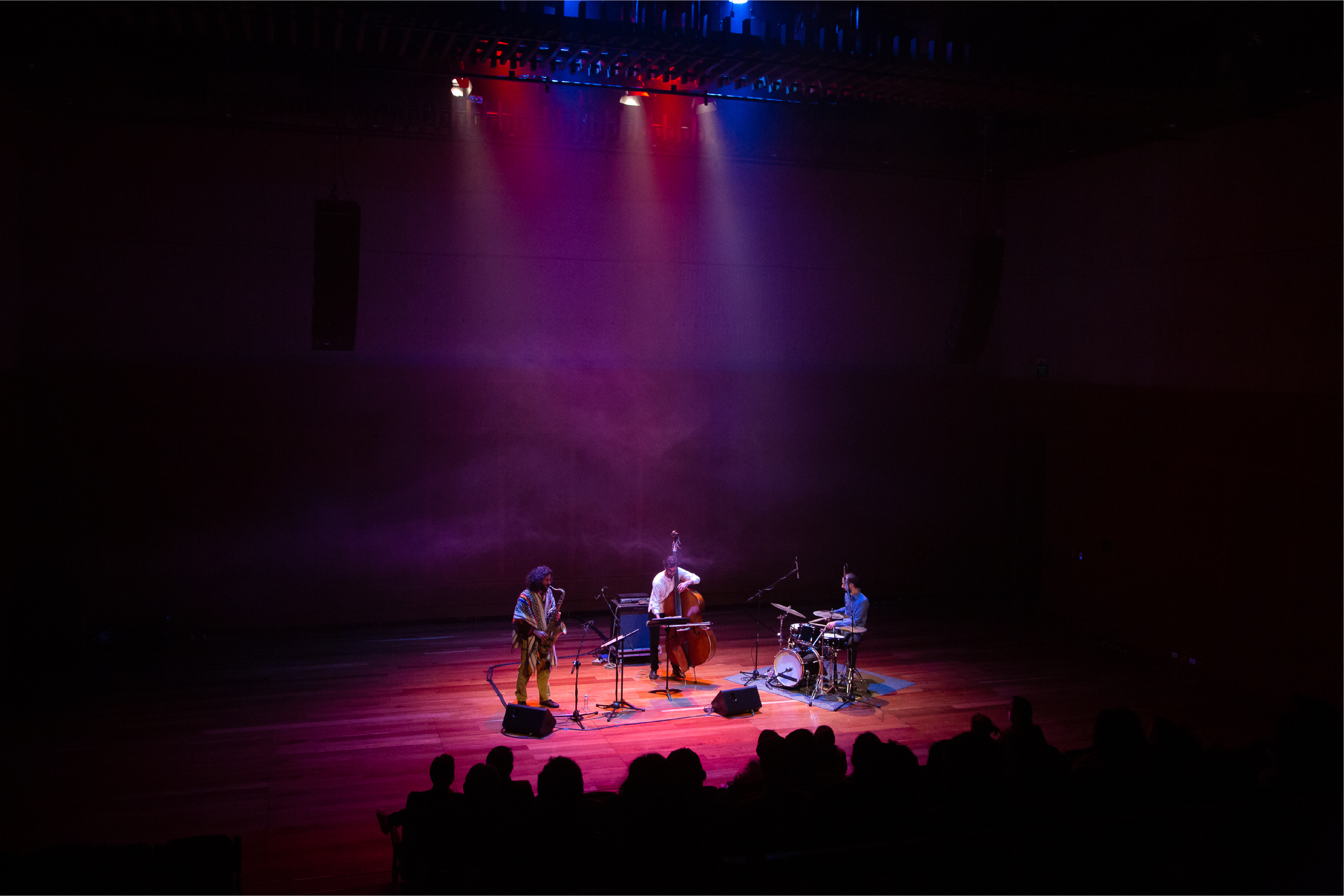 Agrupaciones del Festival Suba y Usaquén