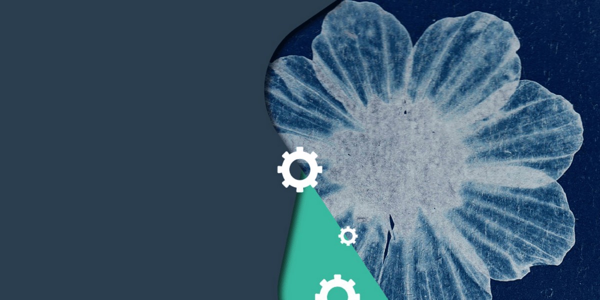 Foto flor azul