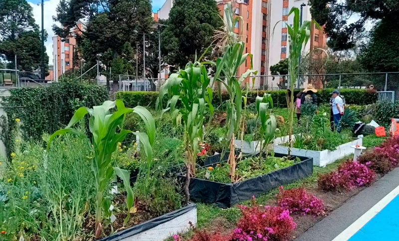 Minga por la huerta: manos que suman