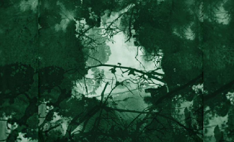 Ilustración con el mapa de Colombia rodeado de vegetación