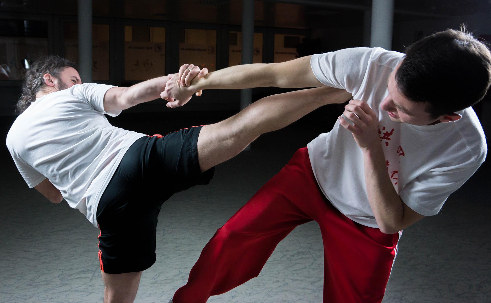 Artes Marciales