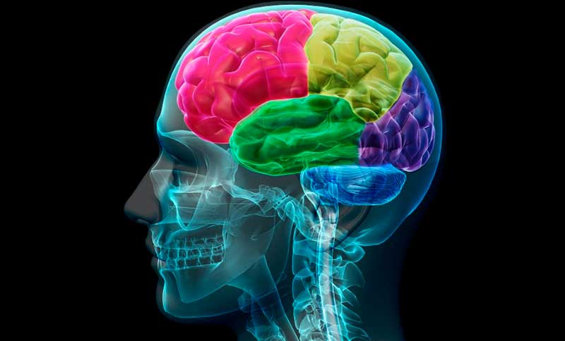 Encuentro: Neurociencia del fútbol