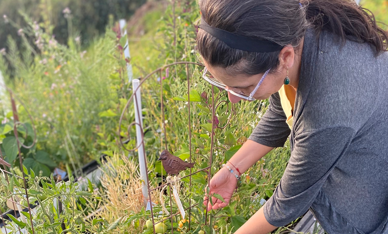 Un día en la huerta (Minga)