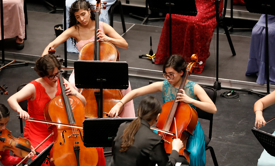 mujeres tocando instrumentos de música clásica
