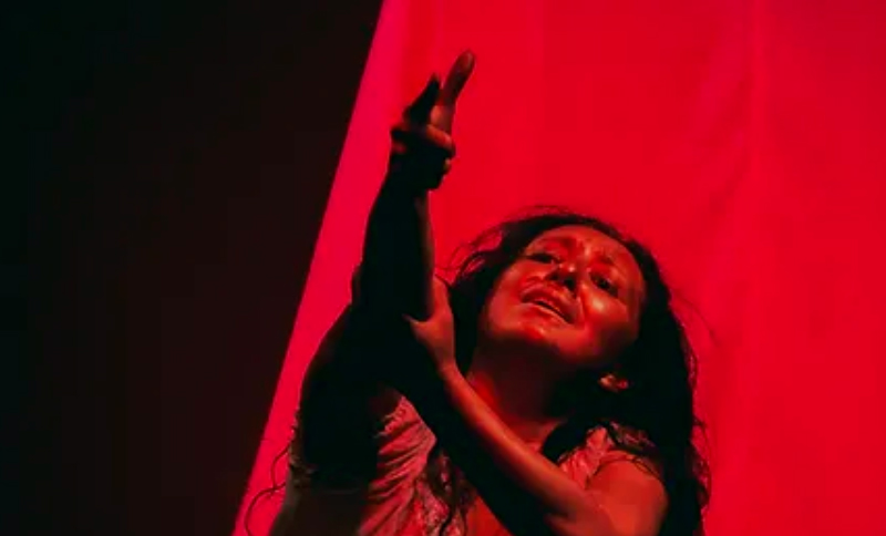 Mujer en el escenario Fundación de Títetes y Teatro Libélula Dorada 