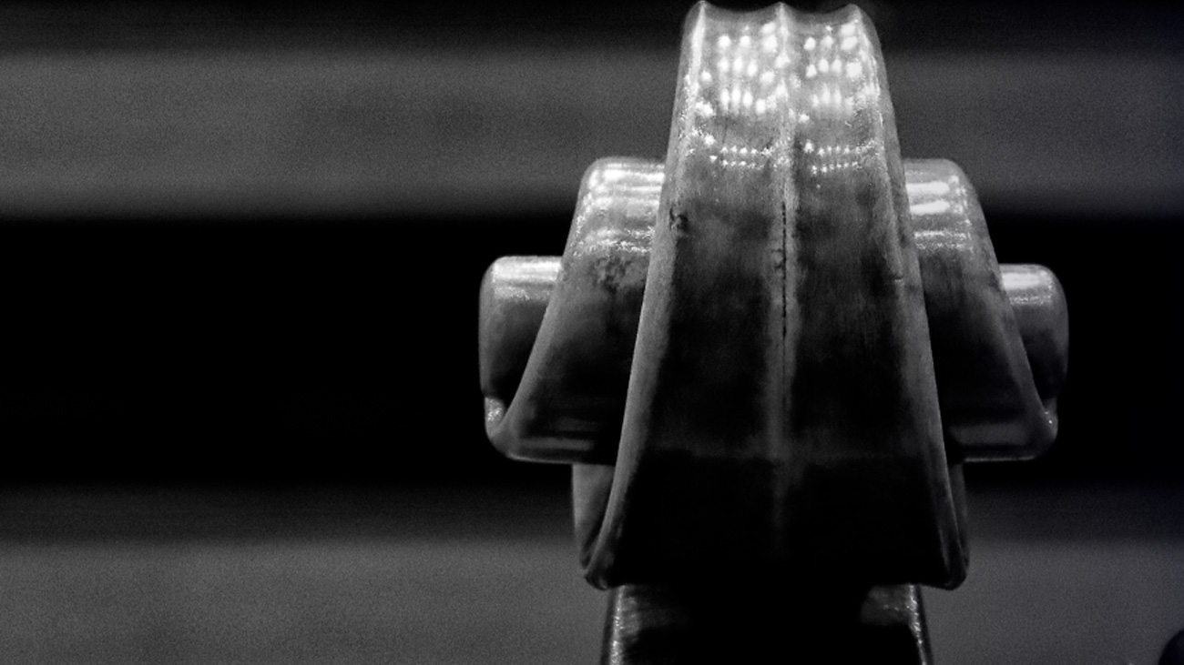 imágen en primer plano de un instrumento musical