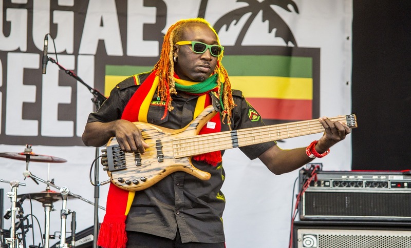 Músico de Reggae