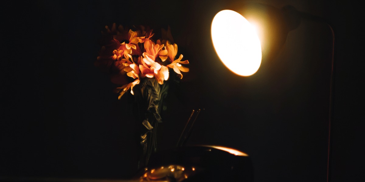 Lámpara iluminando flores