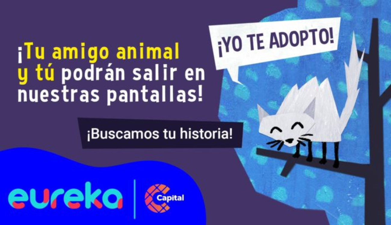 Concurso con mascotas