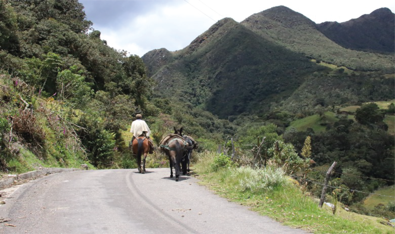 Persona en caballo