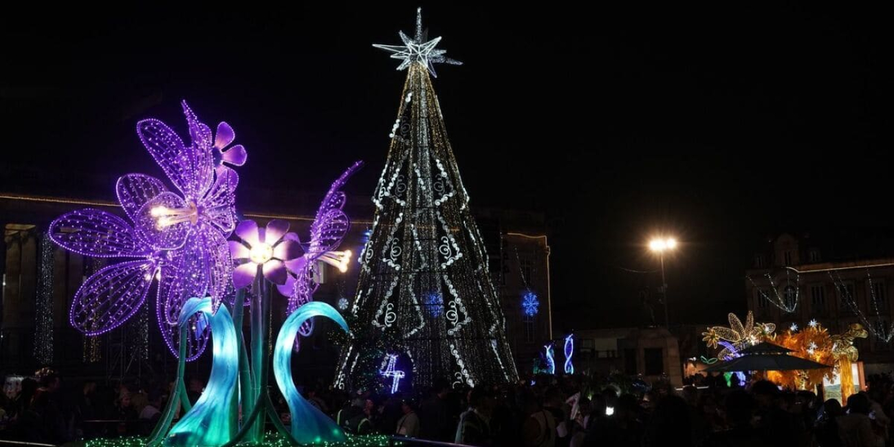 Alumbrado navideño 2024