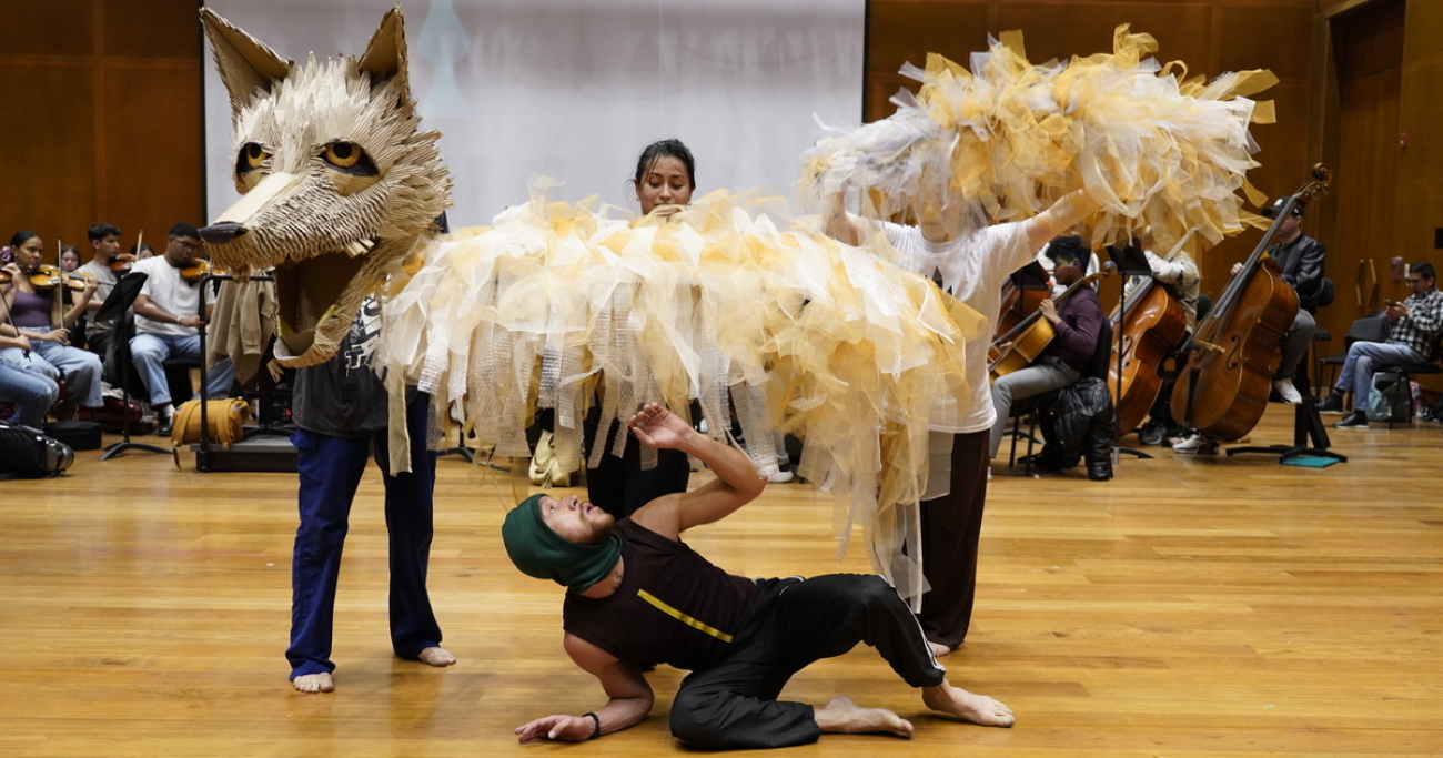 Obra Pedro y el lobo - FIAV