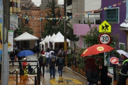 Festival Calle Bonita