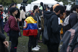 joven espectador con bandera de Colombia
