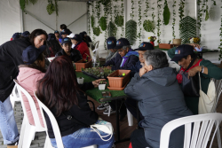 personas mayores departiendo juntas