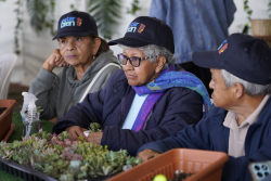 personas mayores departiendo juntas