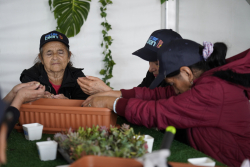 personas mayores departiendo juntas