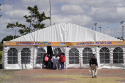 personas mayores departiendo juntas