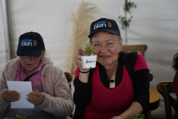 personas mayores departiendo juntas