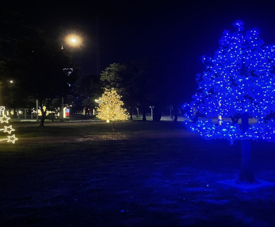 Iluminación navideña