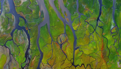 Fotografía de un fragmento de tierra con ríos