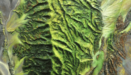 fragmento de un espacio de montaña con relieve