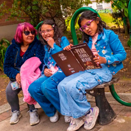 El reino encantado de los hongos (BibloVacaciones)