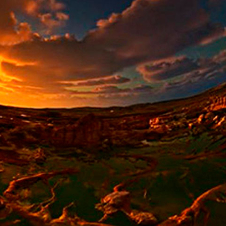 La vida donde nadie imaginaba: Biosfera Oscura llega al Domo de Maloka