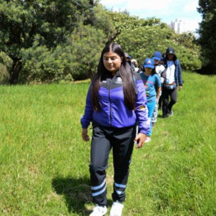 Caminata en el Humedal Tingua Azul