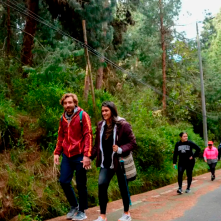 Caminata ambiental en Usaquén
