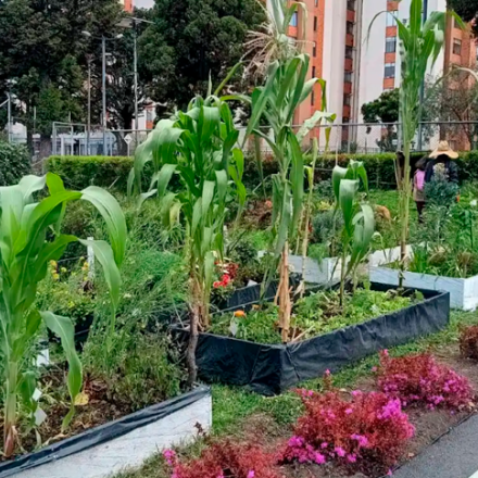 Minga por la huerta