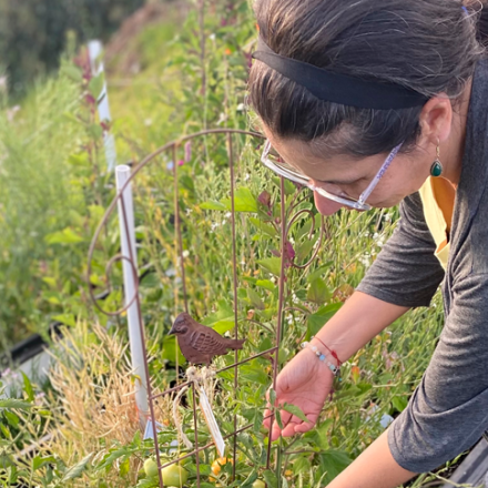 Un día en la huerta (Minga)