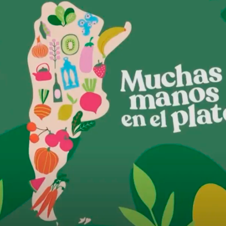 Muchas manos en el plato