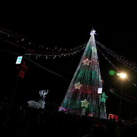 Un ritmo, muchas voces - Parque Metropolitano El Tunal